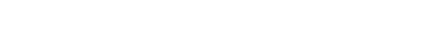 Hook Security logo